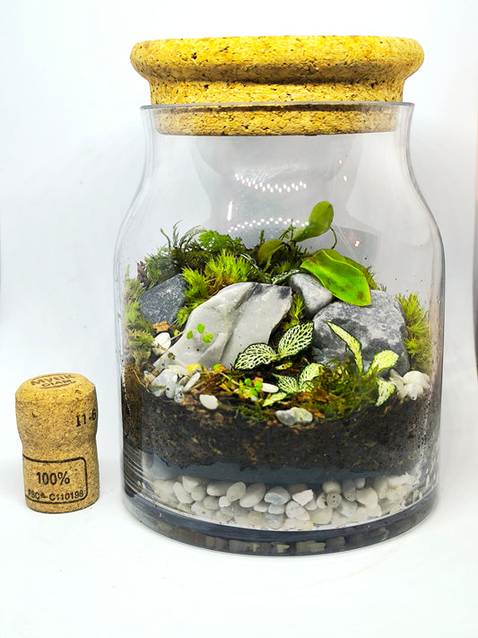 Terrarium moyen (1-R-13-16-Cy-L)